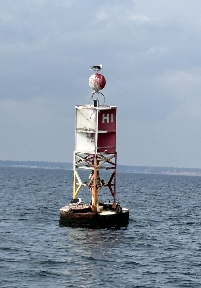 Social spots from Maritime Adventure Charters SOMD