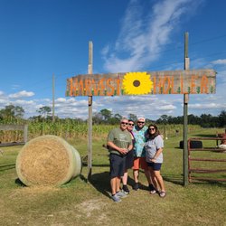 Harvest Holler Corn Maze