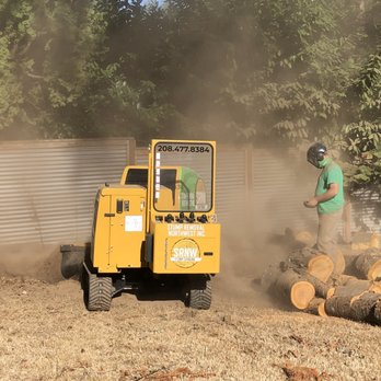 Stump Removal Northwest - Tree Services Near Me - Meridian, Idaho Stump Removal Northwest - Tree Services Near Me - Meridian, Idaho
