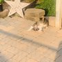 Photo of Starlawns Landscaping