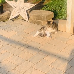 Starlawns Landscaping - Feeling tired for mow your lawn no worries we can helping you