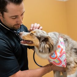 Animal Center West Omaha