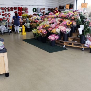 Produce Junction - Fruits & Veggies Near Me - Dover, Delaware