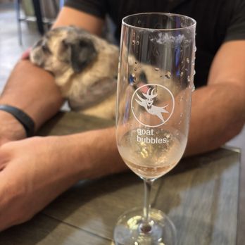 Flying Goat Cellars - Bubble flight + dog friendly. - Wine Tasting Room Near Me - Lompoc, California