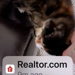 Sea Girt, New Jersey Beach - Yes