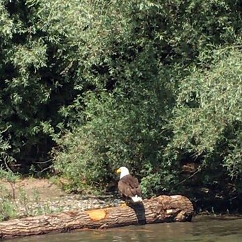 Hellgate Jetboat Excursions - Boat Charters Near Me - Grants Pass, Oregon