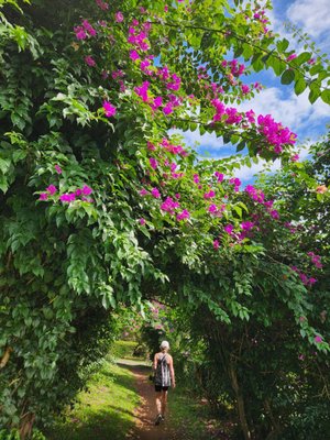 Nokonoshima Island by null