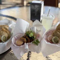 The Doughminican - Beef and chicken empanadas, tostones, and lemonade
