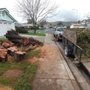 Photo of Christian's Landscape, Tree and lawn