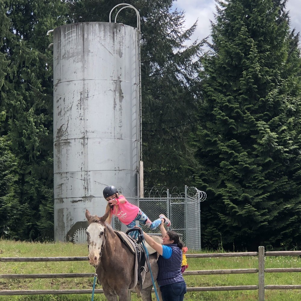 Happy Path Meadows - Horse Boarding Near Me - Snohomish, Washington Happy Path Meadows - Horse Boarding Near Me - Snohomish, Washington