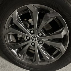 Cosmetic Wheel Repair - Before: a noticeable curb rash in the bottom left