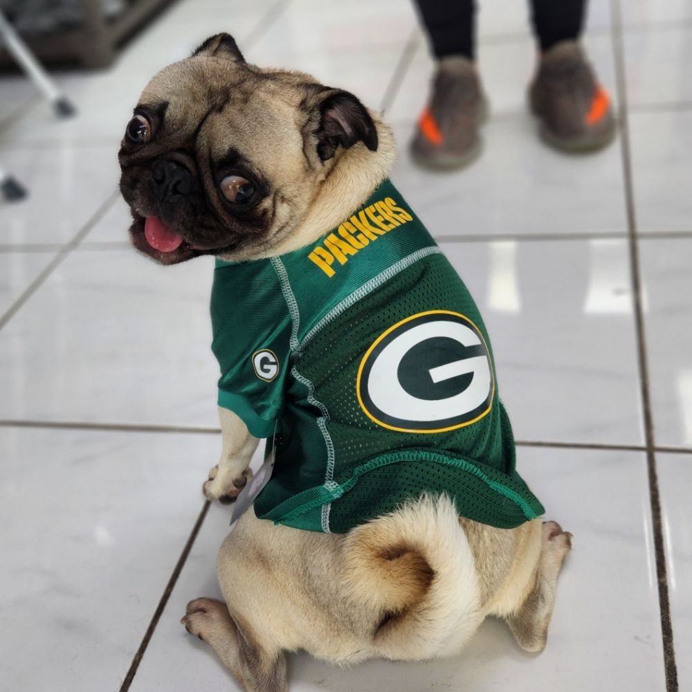 BOW WOW SPAW with 30 real customer photos Updated August 2024 12