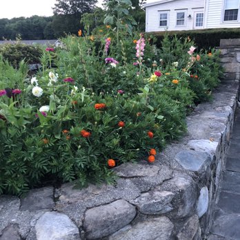 Candlelight Farms - Beautiful flowers - Bed & Breakfast Near Me - New Milford, Connecticut Candlelight Farms - Beautiful flowers - Bed & Breakfast Near Me - New Milford, Connecticut