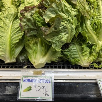 Uwajimaya - Romaine and Ref Leaf lettuce - International Grocery Near Me - Beaverton, Oregon Uwajimaya - Romaine and Ref Leaf lettuce - International Grocery Near Me - Beaverton, Oregon