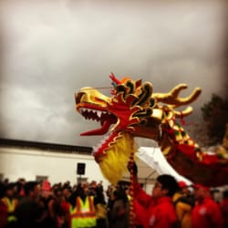Annual Chinese New Year Parade