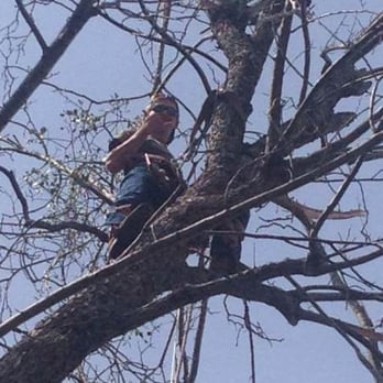 Thornton's Tree Service - Tree Services Near Me - Gray, Georgia