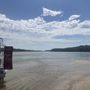 Photo of River Life Airboat Tours