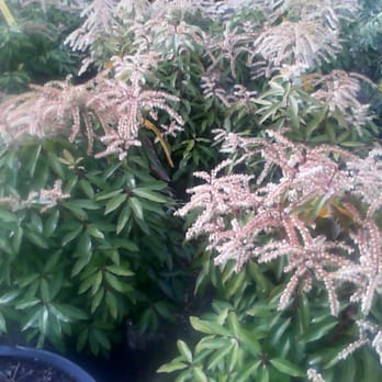 Rogers Spring Hill Farm - Nurseries & Gardening Near Me - Haverhill, Massachusetts