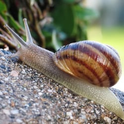 A la Fontaine de Bernn - Le Hameau aux Escargots