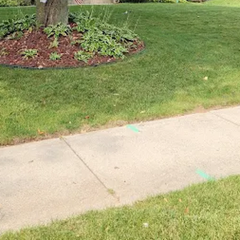 TruGreen Lawn Care - Find care that fits your yard with TruGreen's lawn care services in North Milwaukee, WI, and nearby Mequon. - Tree Services Near Me - Milwaukee, Wisconsin TruGreen Lawn Care - Find care that fits your yard with TruGreen's lawn care services in North Milwaukee, WI, and nearby Mequon. - Tree Services Near Me - Milwaukee, Wisconsin