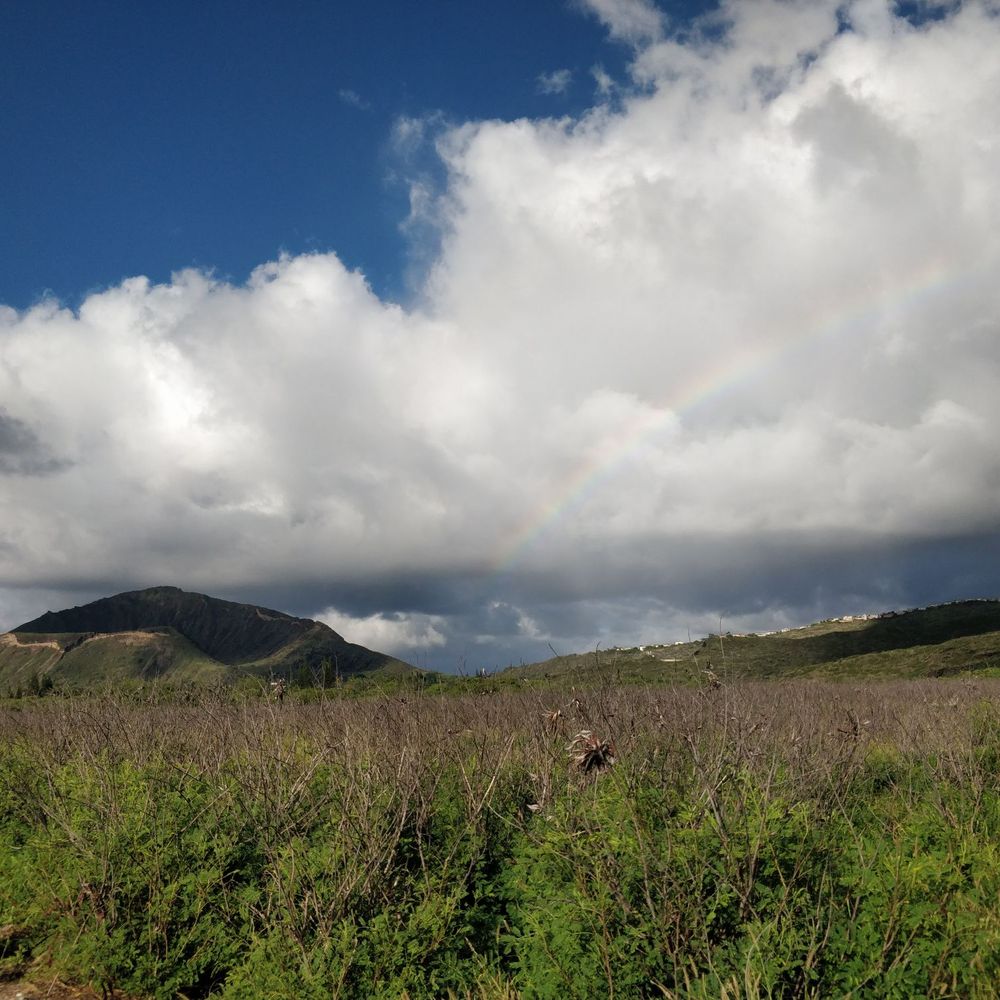 Kaiwi Shoreline Trail - Hiking Near Me Kaiwi Shoreline Trail - Hiking Near Me