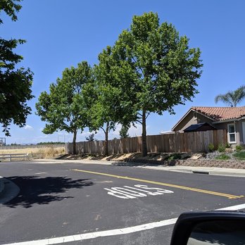 R&B Quality Tree Care - The After. Too embarassed to give you a 'before'. - Tree Services Near Me - Roseville, California