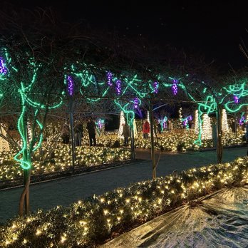 Cantigny - Christmas lights 2024 - Museums Near Me - Wheaton, Illinois