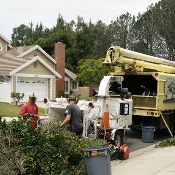 Considerate Tree Care - Tree Services Near Me - El Cajon, California Considerate Tree Care - Tree Services Near Me - El Cajon, California