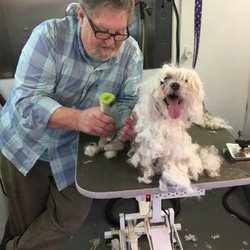 Tally Ho Mobile Pet Groomer