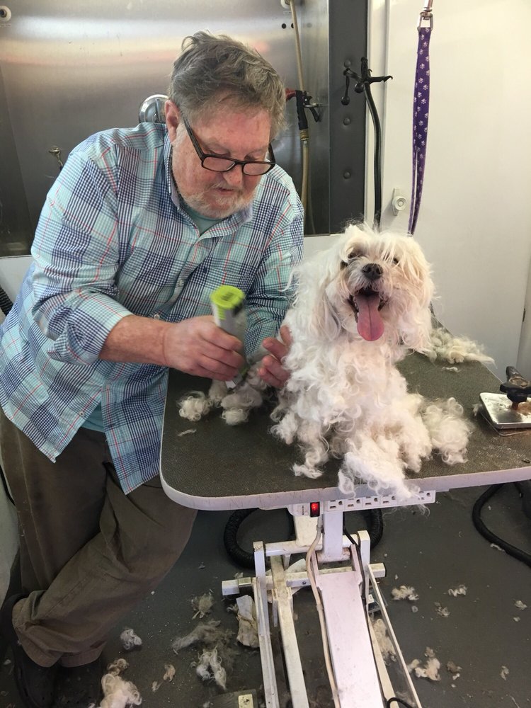 TALLY HO MOBILE PET GROOMER Updated August 2024 639 Coxneck Rd, New Castle, Delaware Pet
