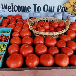 Schaefer Farms - All kinds of produce