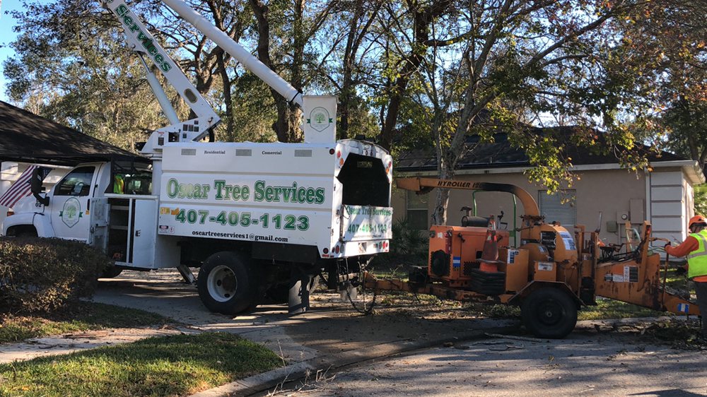 Oscar Tree Services - tree service in Winter Springs, FL