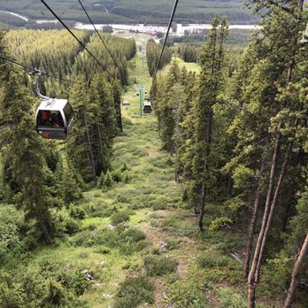 Whitehorn Bistro - Bistros Near Me - Lake Louise, Alberta
