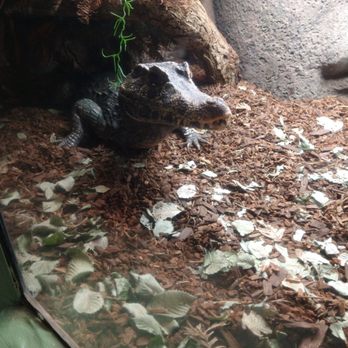Sac Zoo - Zoos Near Me - Sacramento, California Sac Zoo - Zoos Near Me - Sacramento, California