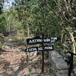 Aventuras Mayas