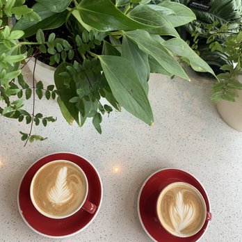 Ragamuffin Coffee Roasters - Cappuccino - Coffee Roasteries Near Me - Oxnard, California Ragamuffin Coffee Roasters - Cappuccino - Coffee Roasteries Near Me - Oxnard, California