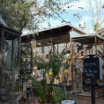 The Perch Brewery - Gastropubs Near Me - Chandler, Arizona The Perch Brewery - Gastropubs Near Me - Chandler, Arizona