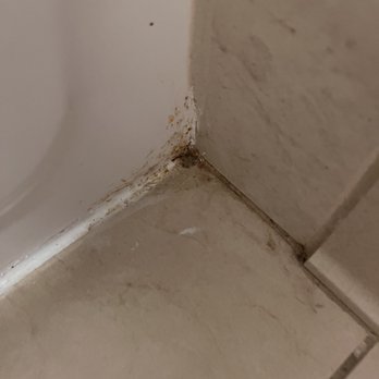 Hyatt Place Lexington - Bathroom Floor - Hotels Near Me - Lexington, Kentucky
