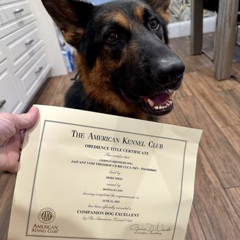 Barkeley K-9 University - Jaivant's CDX - Pet Training Near Me Barkeley K-9 University - Jaivant's CDX - Pet Training Near Me
