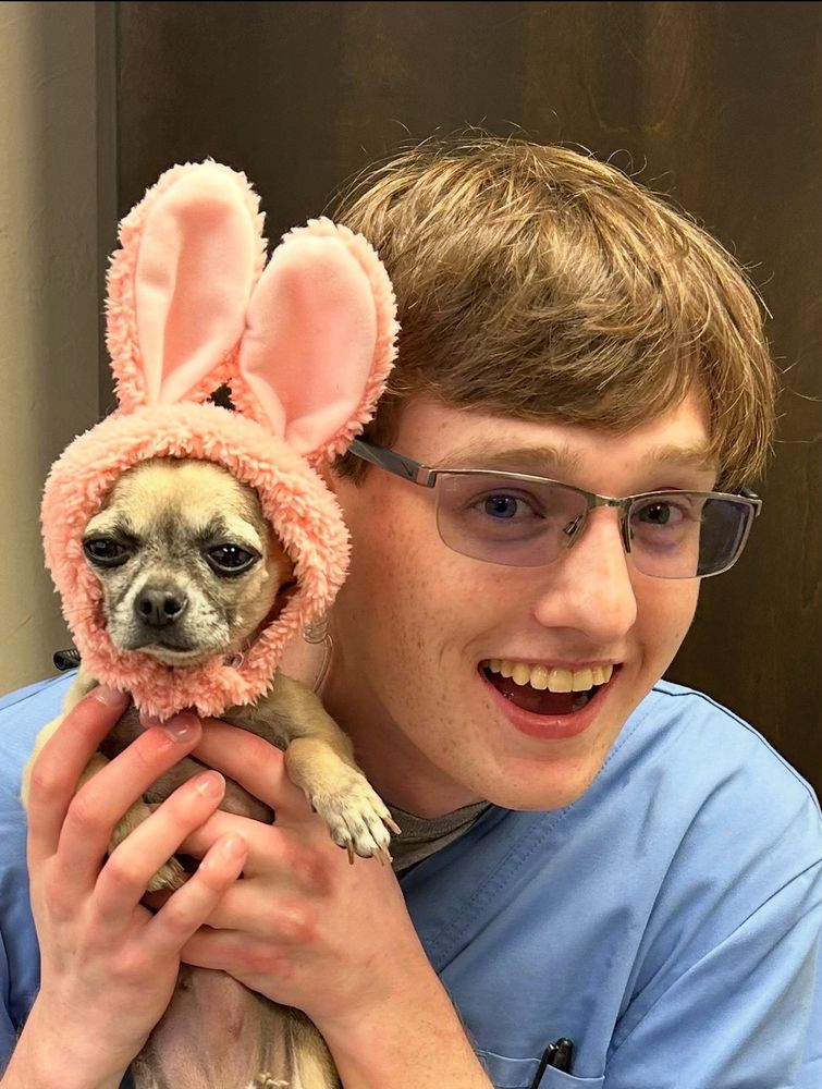 Sunset Veterinary Clinic - pet boarding facility in Edmond, OK