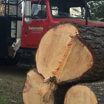 Timberworks Tree - Tree Services Near Me - Hendersonville, Tennessee Timberworks Tree - Tree Services Near Me - Hendersonville, Tennessee