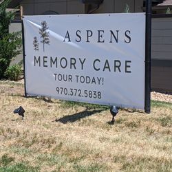 Aspens at Fort Collins