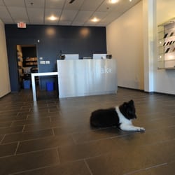 Yakety Yak - Come by and meet our shop dog Winter!