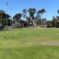Toby Chavez Field