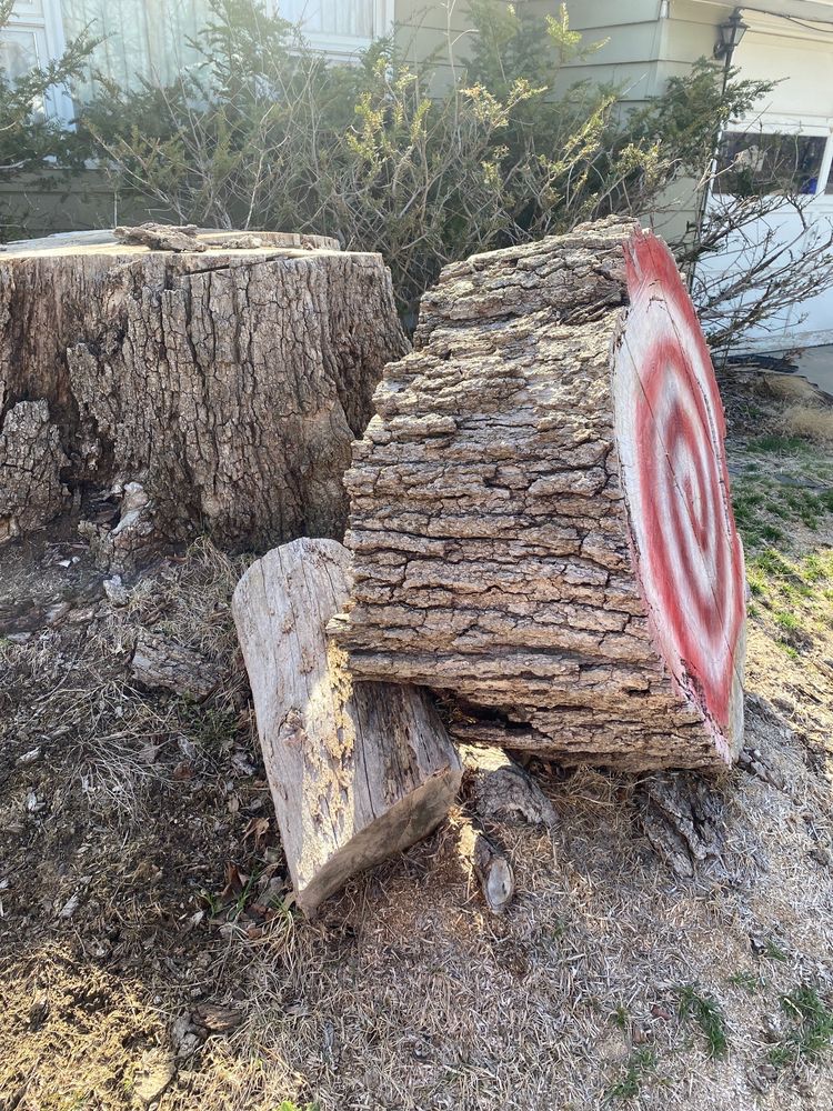 Ackerman's Tree Service - tree service in Cedar Rapids, IA