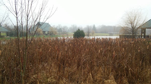 Northern Fauquier Community Park by null