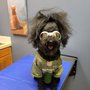 Photo of Audubon Veterinary Clinic