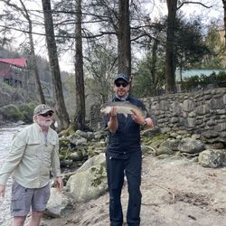 3.4lb trout