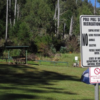 Polipoli Springs State Recreation Area - Main campground area. - Parks Near Me