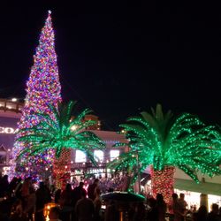 The Christmas Light Guy